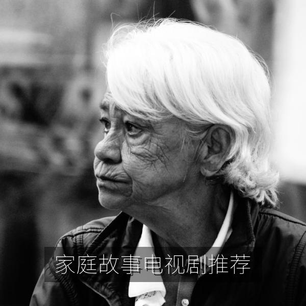家庭故事电视剧推荐画面