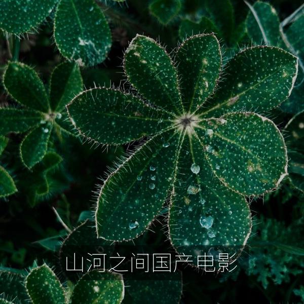 山河之间国产电影海报