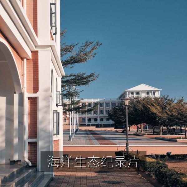 海洋生态纪录片画面
