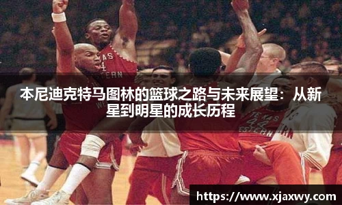 三亿体育有限公司