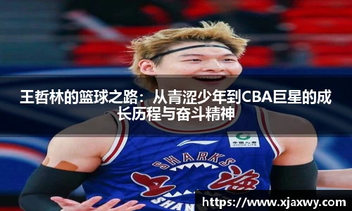 三亿体育